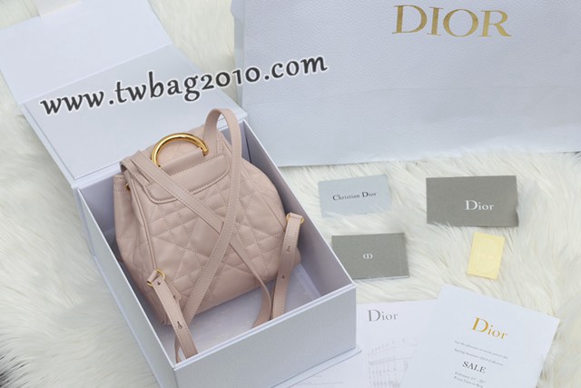 Dior专柜新款迪奥高仿原单Caro双肩包小羊皮女士双肩背包 djfk1574